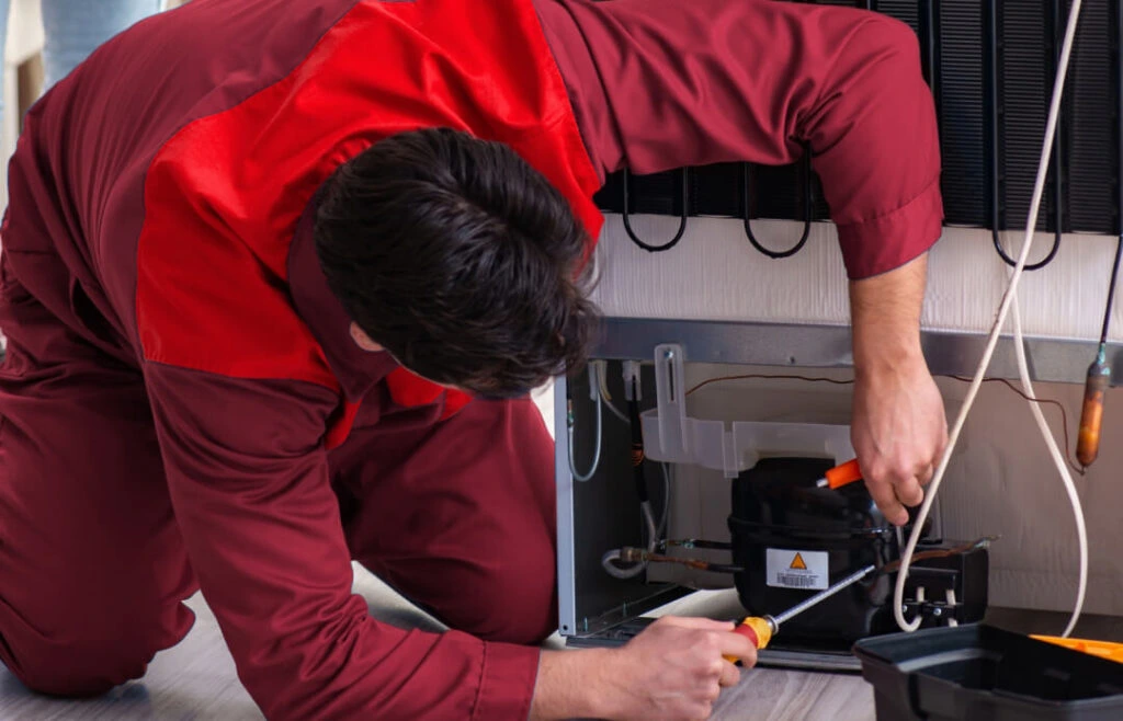 Professional Blomberg Fridge Technician