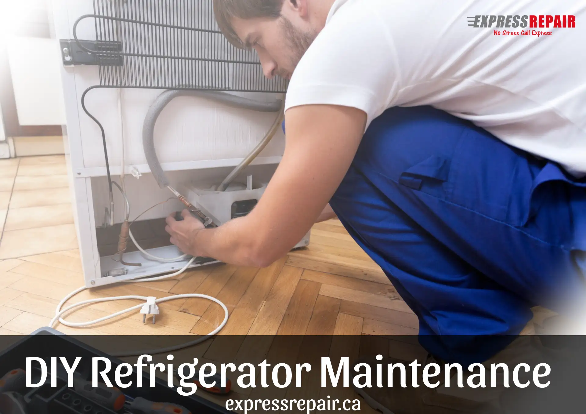 Homeowner’s Guide to DIY Refrigerator Maintenance