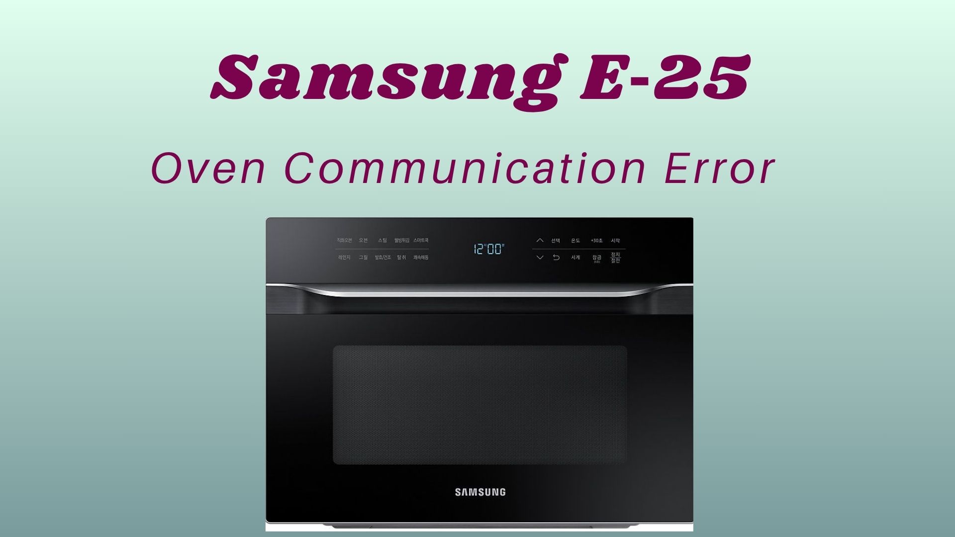 What Is the Samsung Oven E-25 Error?