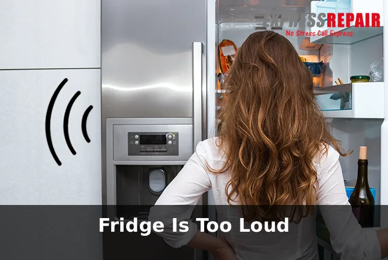 Fridge Is Too Loud What’s Causing the Noise and How to Fix It