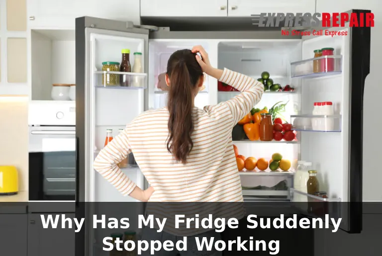 Why Has My Fridge Suddenly Stopped Working