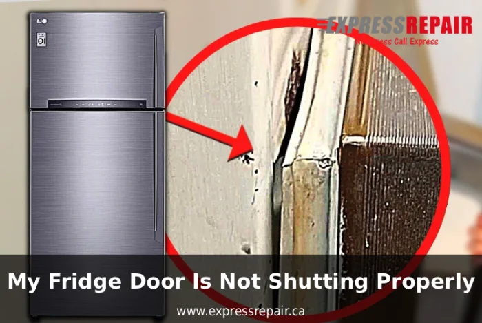 My Fridge Door Is Not Shutting Properly