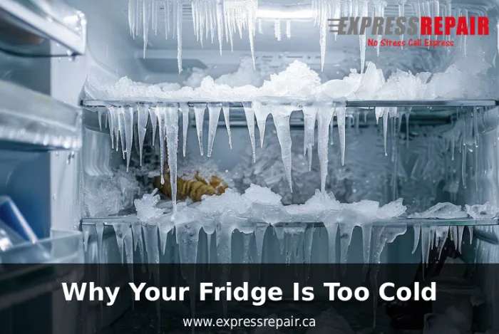 Why Your Fridge Is Too Cold