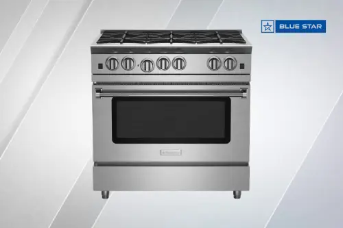 Blue-Star oven repair