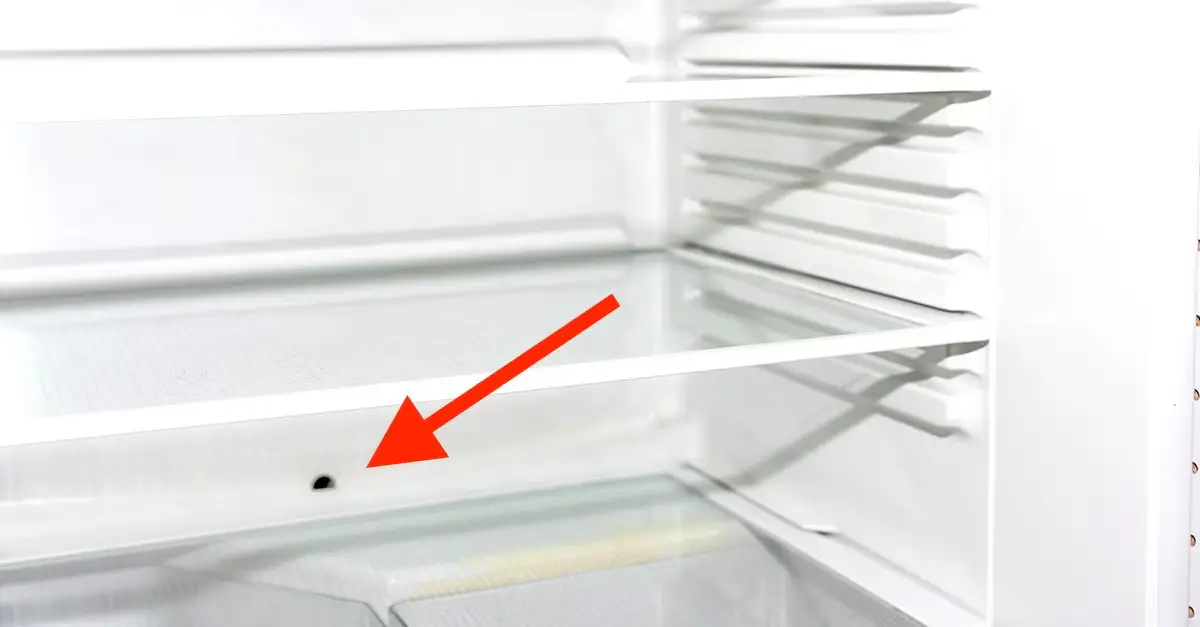 Clogged Defrost Drain