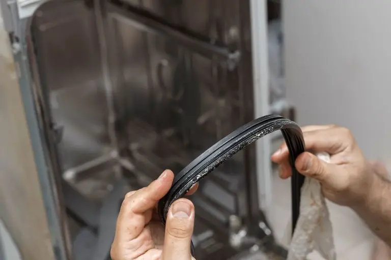 Damaged Door Gasket Damaged Door Gasket